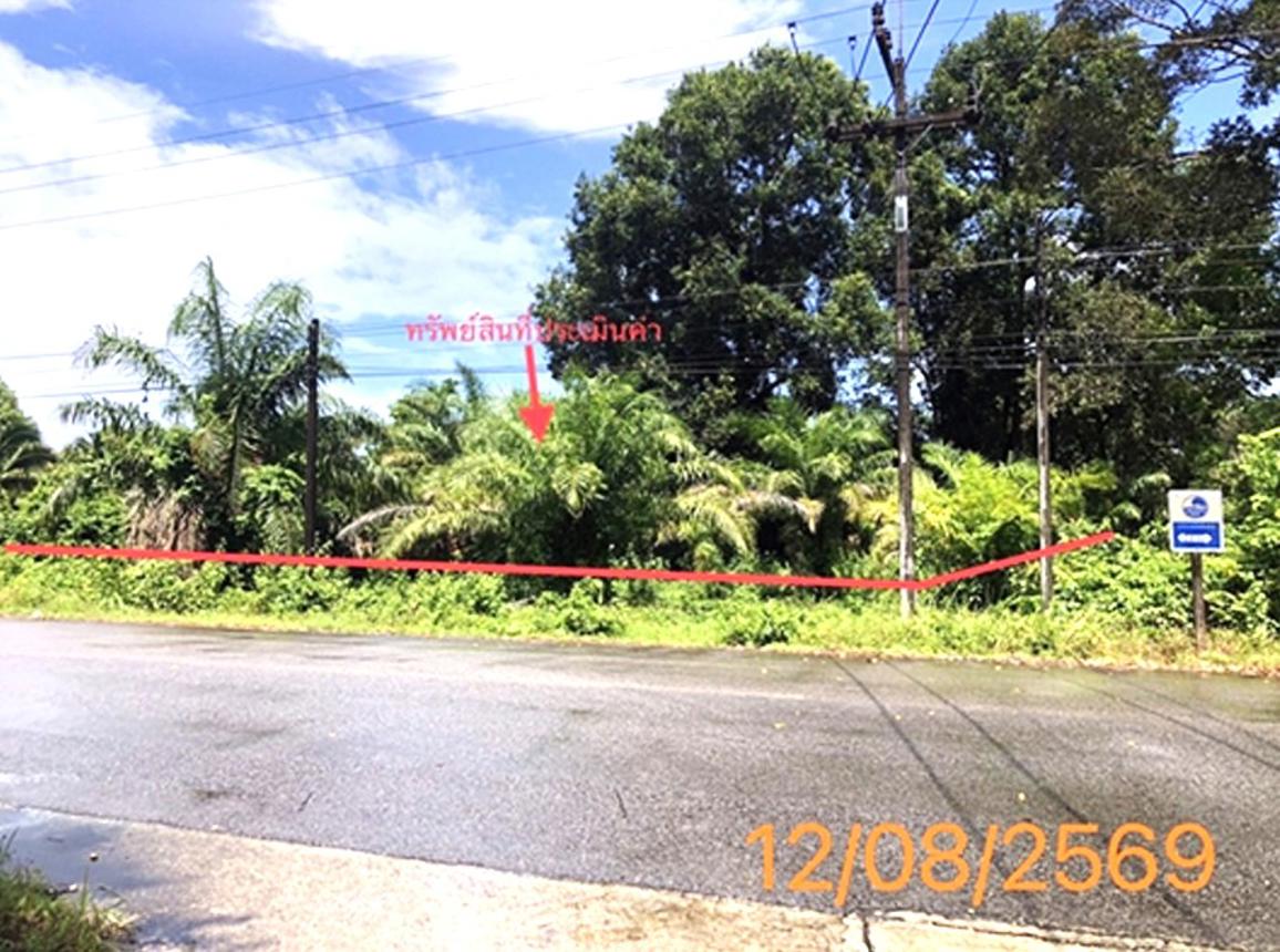 picture LAND 1601 Sq.w. Takua Pa Phangnga for 3.2M - 11/19