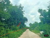listing thumbnail image 10