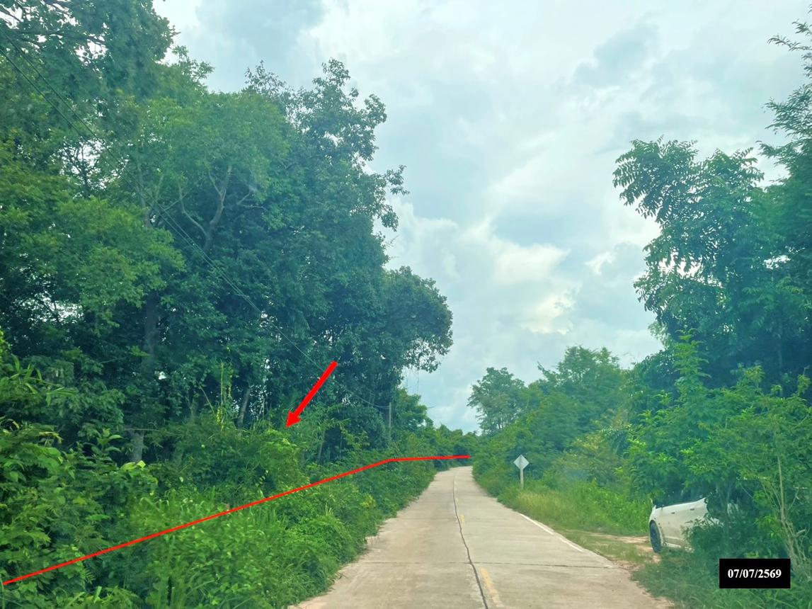 picture LAND 10372 Sq.w. Sawang Daen Din Sakon Nakhon for 16.9M - 11/17