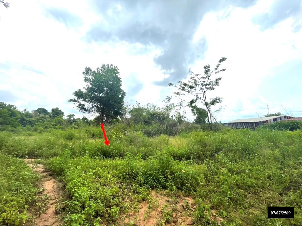 picture LAND 10372 Sq.w. Sawang Daen Din Sakon Nakhon for 16.9M - 12/17