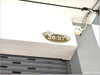 listing thumbnail image 28