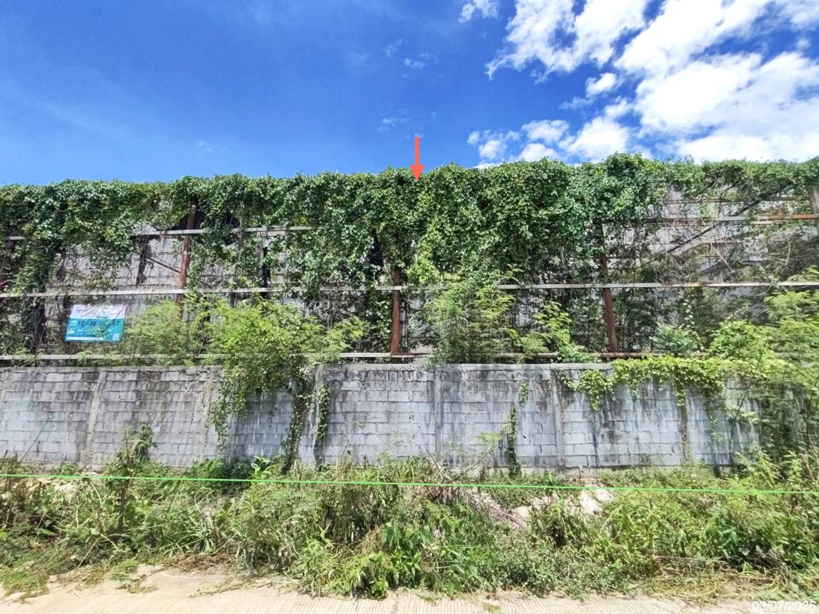 รูป โกดัง 1289 ตร.วา เดิมบางนางบวช สุพรรณบุรี 8.7M - รูปที่ 16/21