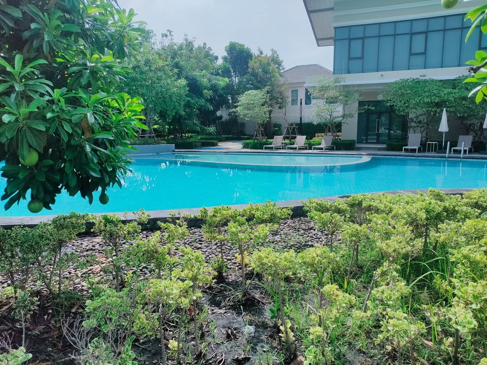 รูป R3164 ให้เช่าทาวน์โฮม Modi Villa บางนา ด้านหลัง ม.เอแบค (ว่างค่ะ) - รูปที่ 13/16
