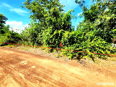 Land for sale Selaphum Roi Et : LAND 800 Sq.w. Selaphum Roi Et for 466,000