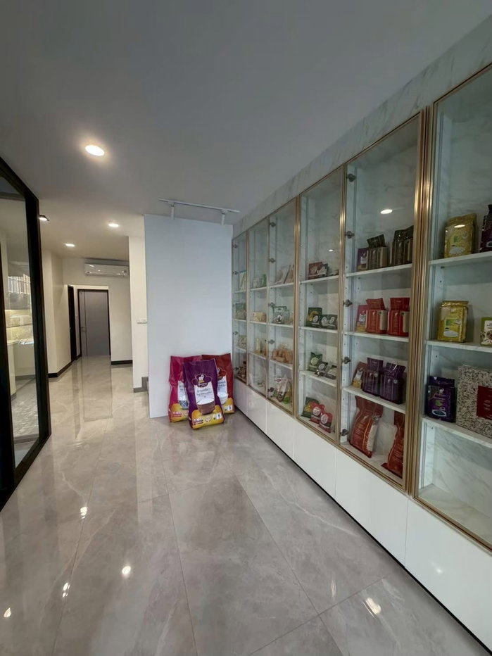 รูป ✨🏢 Luxury Home Office 5 ชั้น ระดับพรีเมียม THE PRIDE PATTANAKARN 30 สำนักงานหรูพร้อมใช้งาน ทำเลศักยภาพพัฒนาการ 30 ใกล้ทองหล่อ–เอกมัย - รูปที่ 5/9