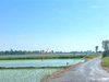 listing thumbnail image 20
