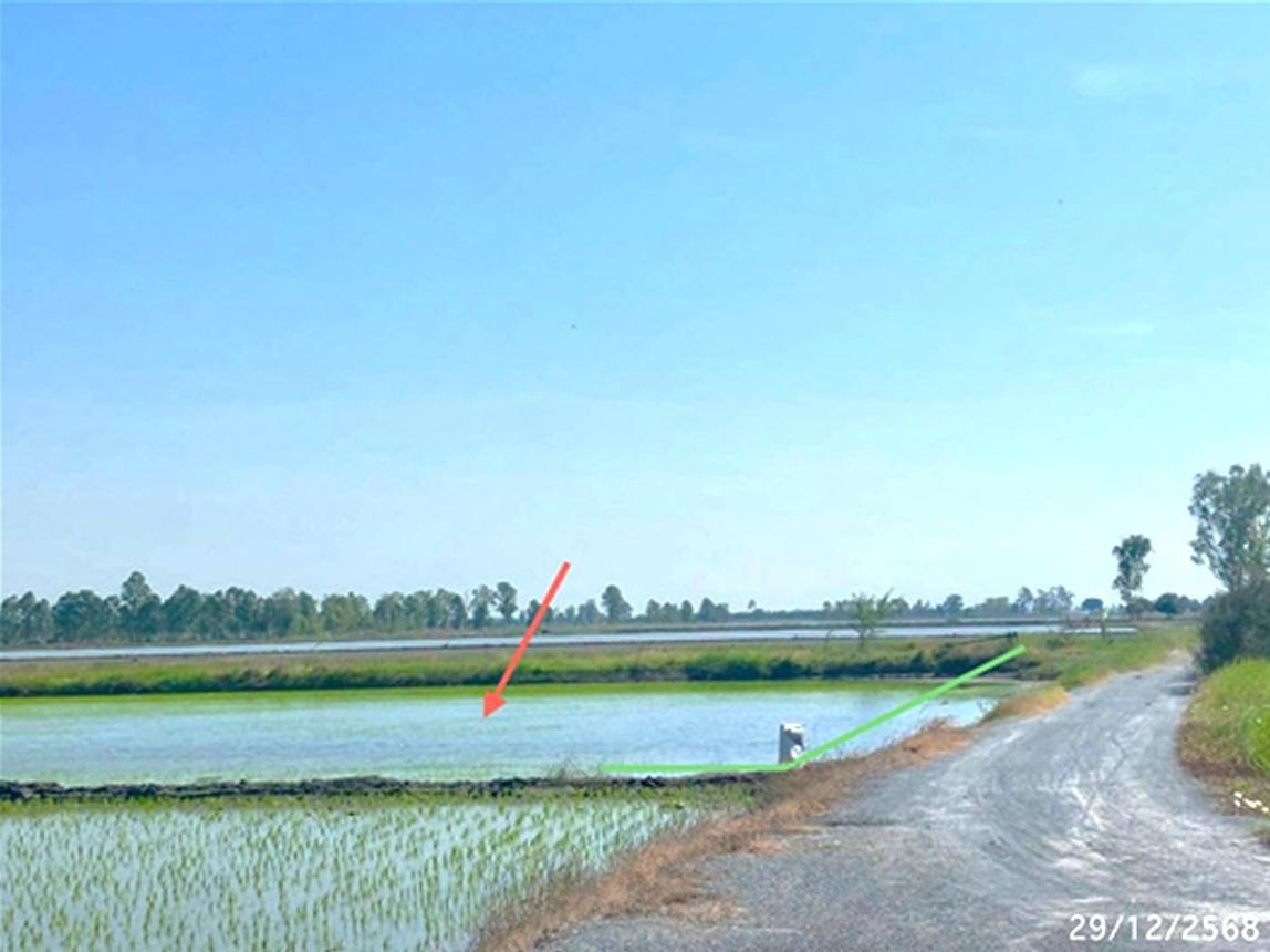รูป โกดัง 3836 ตร.วา อู่ทอง สุพรรณบุรี 14.3M - รูปที่ 21/25