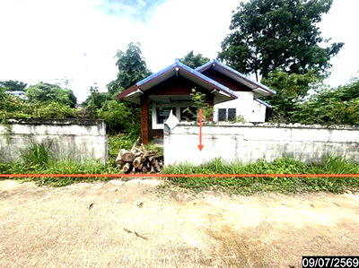 บ้านเดี่ยว ขอนแก่น : บ้านเดี่ยว 400 ตร.วา น้ำพอง ขอนแก่น 1.6M