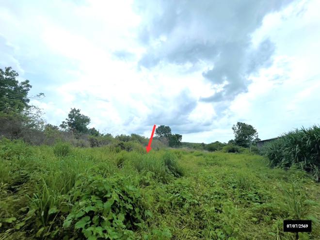 picture LAND 10372 Sq.w. Sawang Daen Din Sakon Nakhon for 16.9M - 7/17