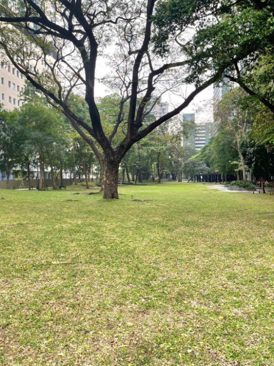 รูป ขายคอนโด The line phaholyothin park เฟอร์นิเจอร์ครบ พร้อมเข้าอยู่ ใกล้ BTS ห้าแยกลาดพร้าว-SW004084 - รูปที่ 18/18
