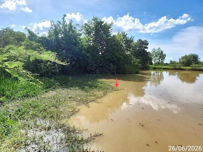 รูป ที่ดินว่างเปล่า 800 ตร.วา เสลภูมิ ร้อยเอ็ด 600,000 - รูปที่ 6/15