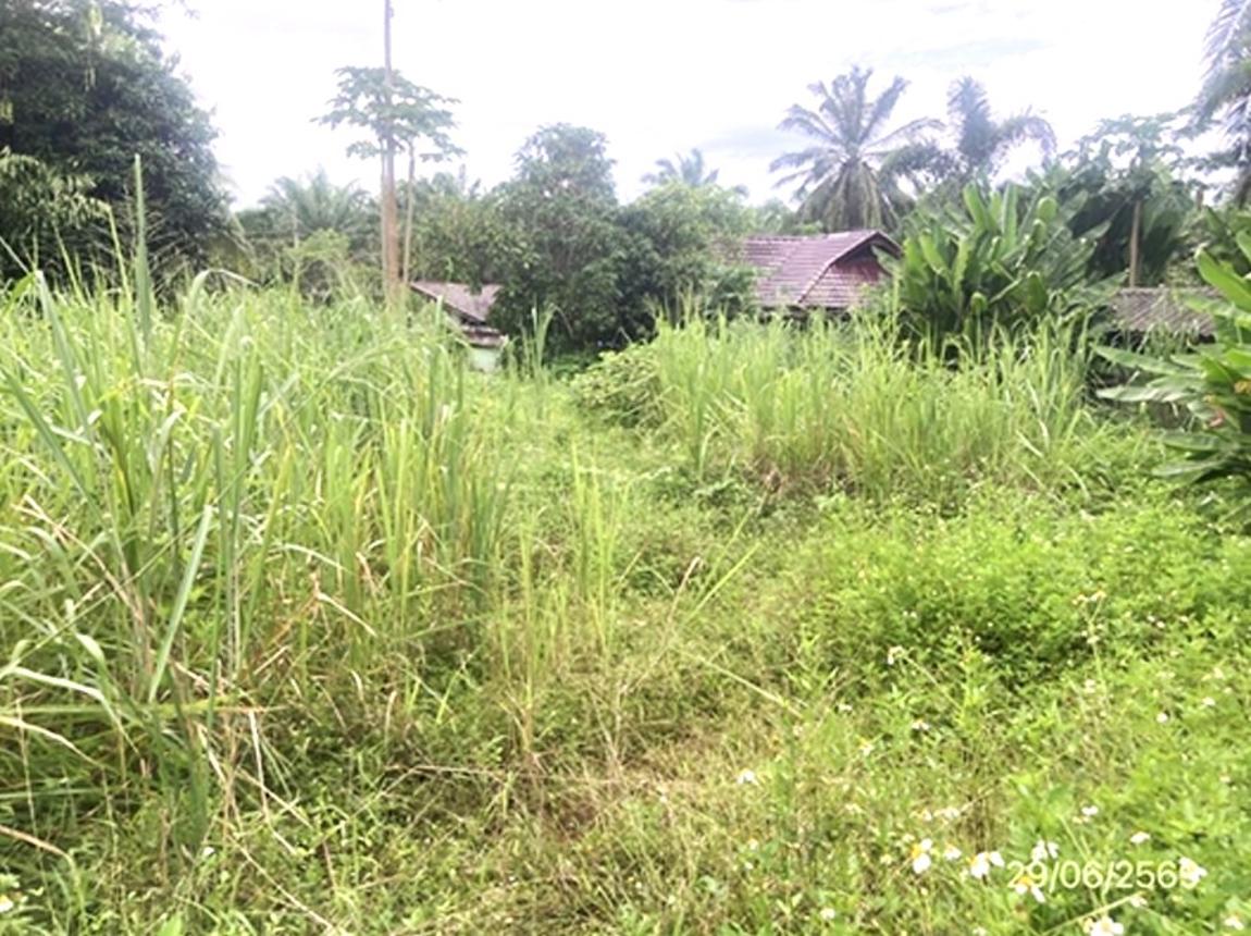 picture HOME 344 Sq.w. Chaiburi Surat Thani for 577,000 - 19/25