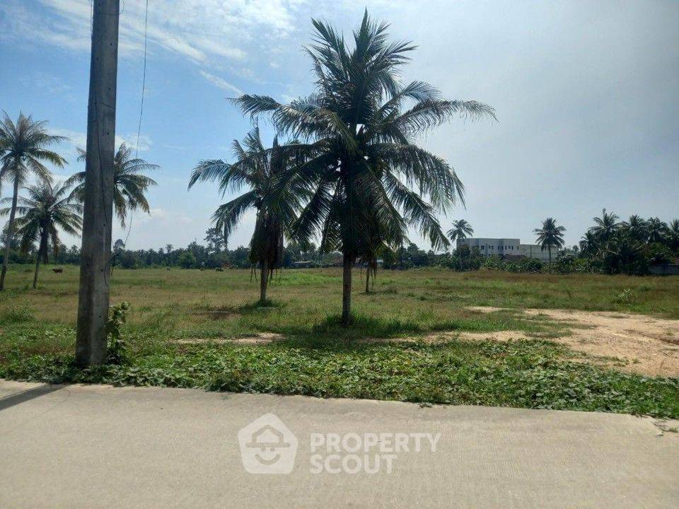 รูป ขายที่ดินในห้วยใหญ่ บางละมุง ชลบุรี (ID 3340867) - รูปที่ 5/12