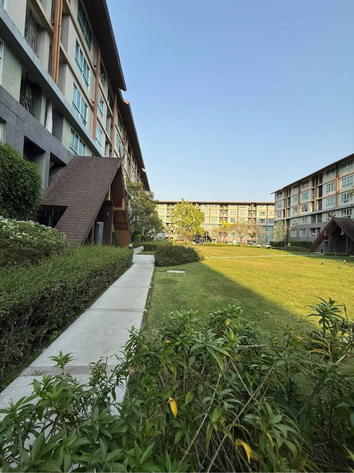 รูป D condo campus หลังมช เพียง 11,000/เดือน - รูปที่ 11/12