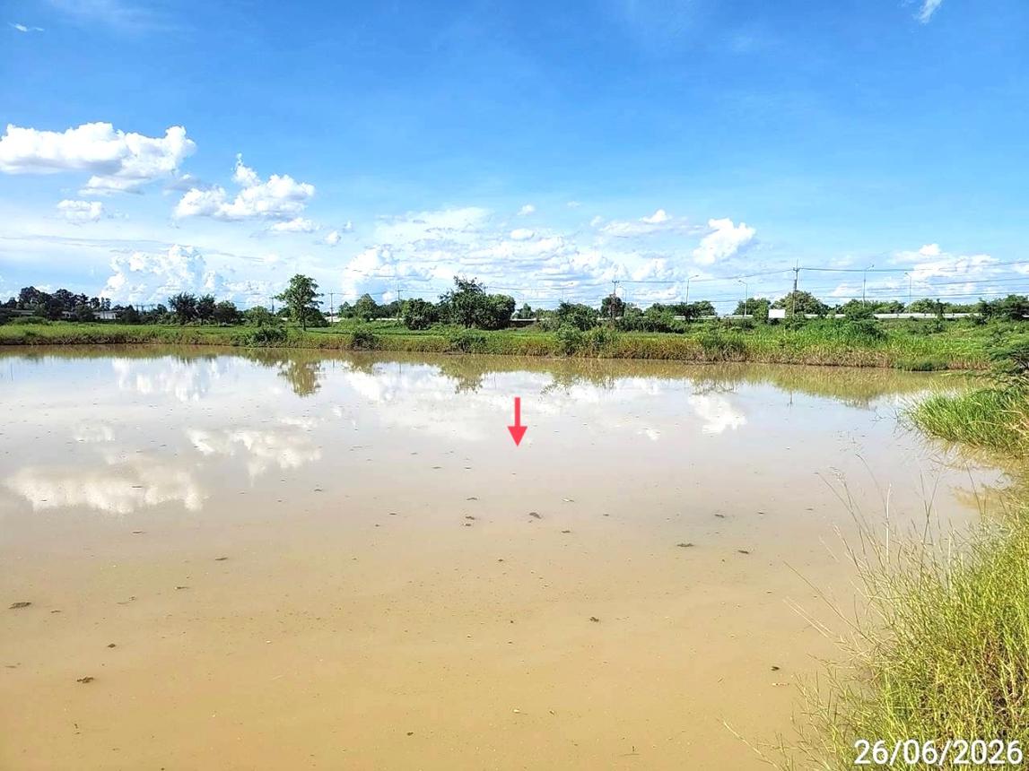 รูป ที่ดินว่างเปล่า 800 ตร.วา เสลภูมิ ร้อยเอ็ด 600,000 - รูปที่ 10/15