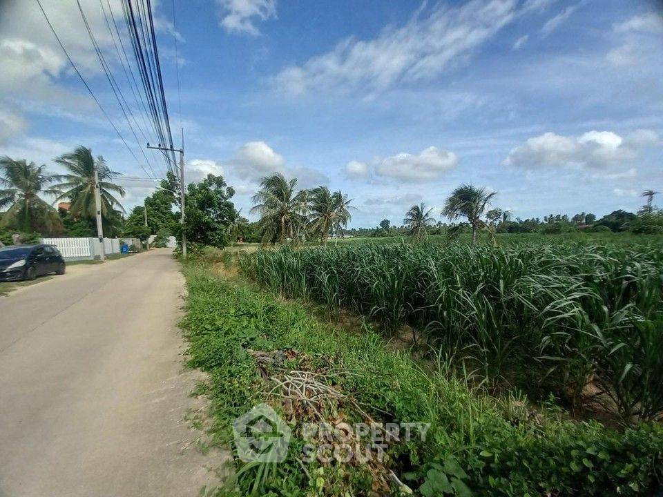 รูป ขายที่ดินในห้วยใหญ่ บางละมุง ชลบุรี (ID 3340867) - รูปที่ 7/12