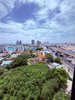listing thumbnail image 13