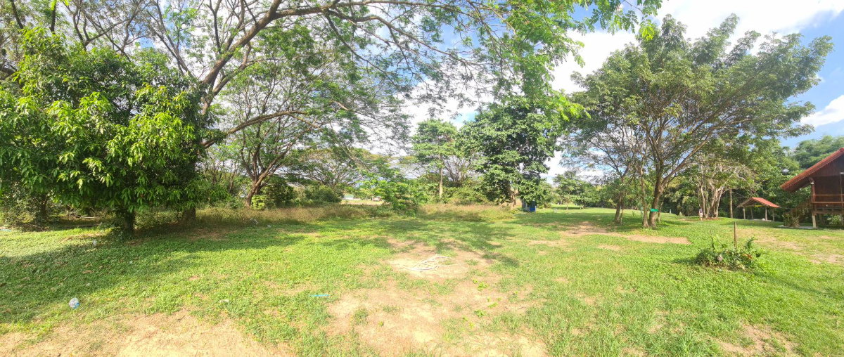 picture Land by the canal in nakhon Nayok - 12/14