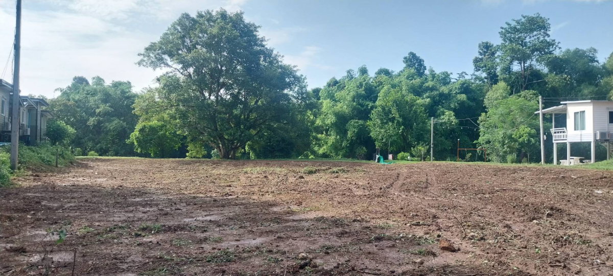 picture Land by the canal in nakhon Nayok - 6/14