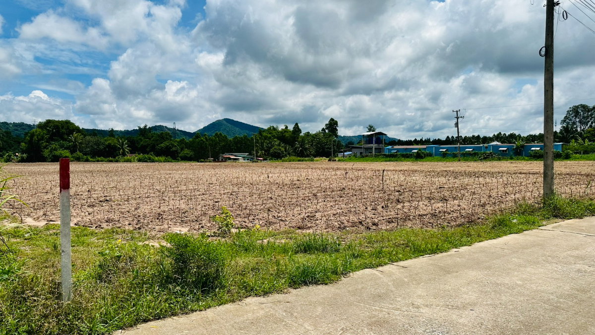 รูป 🔥 ขายที่ดิน 9.92 ไร่ หนองอิรุณ บ้านบึง ชลบุรี | 26.8 ล้านบาท ที่ดินแปลงใหญ่ เนื้อที่ 9.92 ไร่ (3,968 ตร.ว.) - รูปที่ 5/10