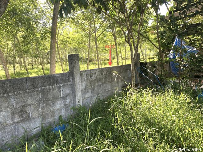 picture HOME 124.4 Sq.w. Pa Bon Phatthalung for 961,000 - 6/19
