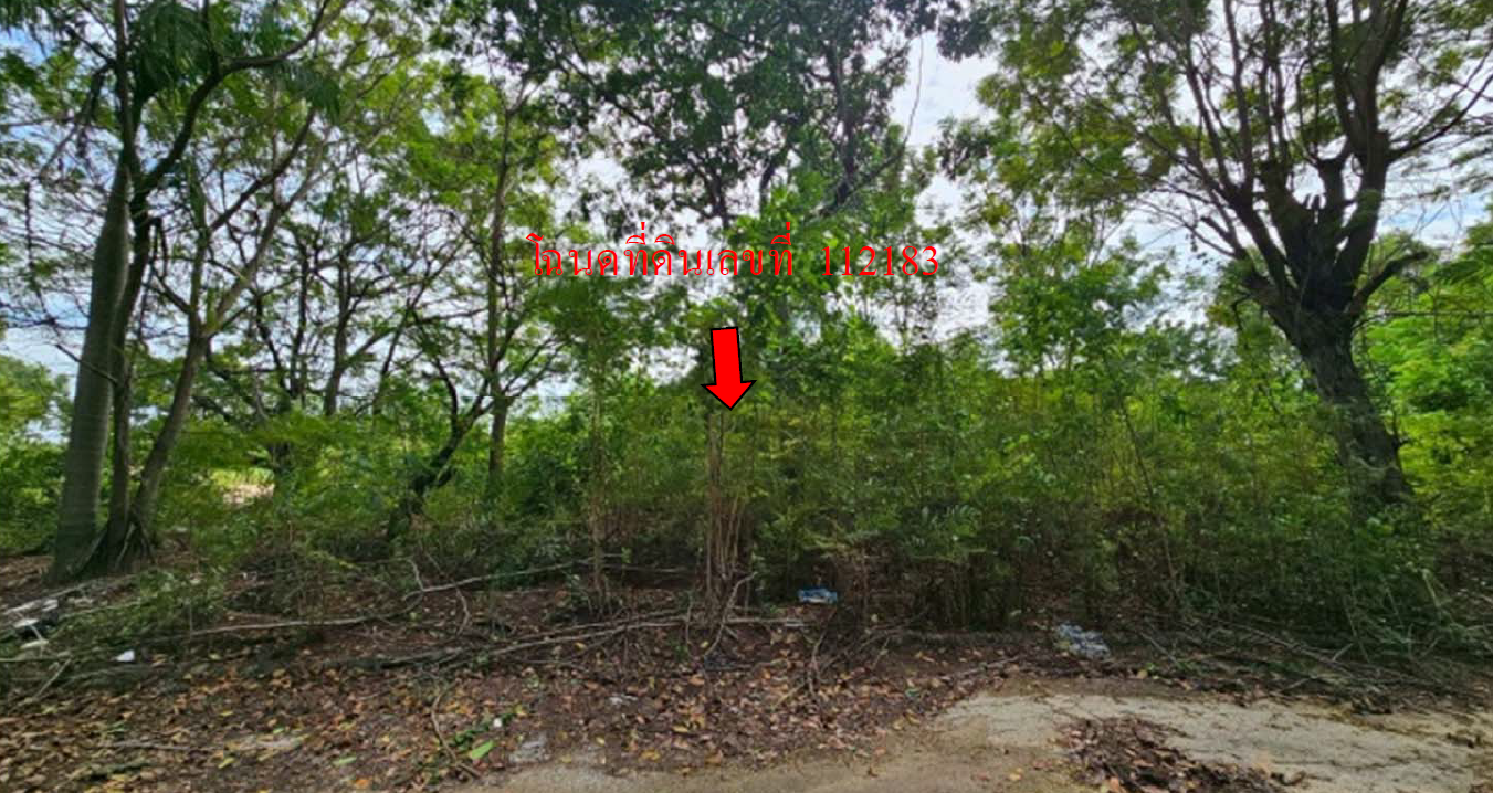 รูป ที่ดินเปล่า 475.1 ตร.วา อำเภอเมืองนครปฐม จังหวัดนครปฐม 3.5M - รูปที่ 9/11