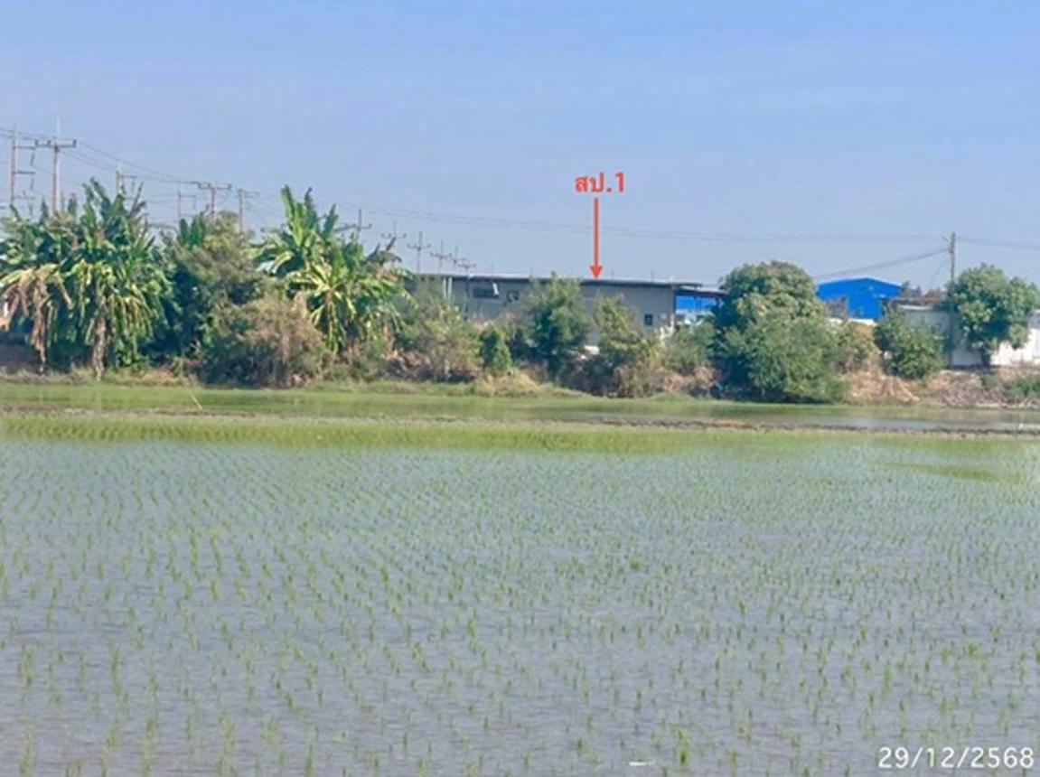รูป โกดัง 3836 ตร.วา อู่ทอง สุพรรณบุรี 14.3M - รูปที่ 17/25
