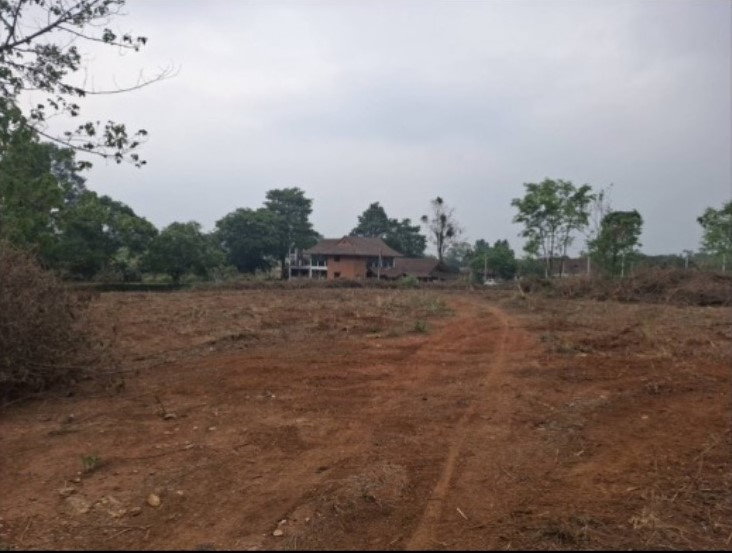 picture Beautiful 4-rai plot of land in Phupiman Village - 2/3