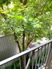 listing thumbnail image 15