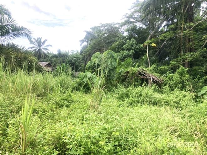 picture HOME 344 Sq.w. Chaiburi Surat Thani for 577,000 - 8/25