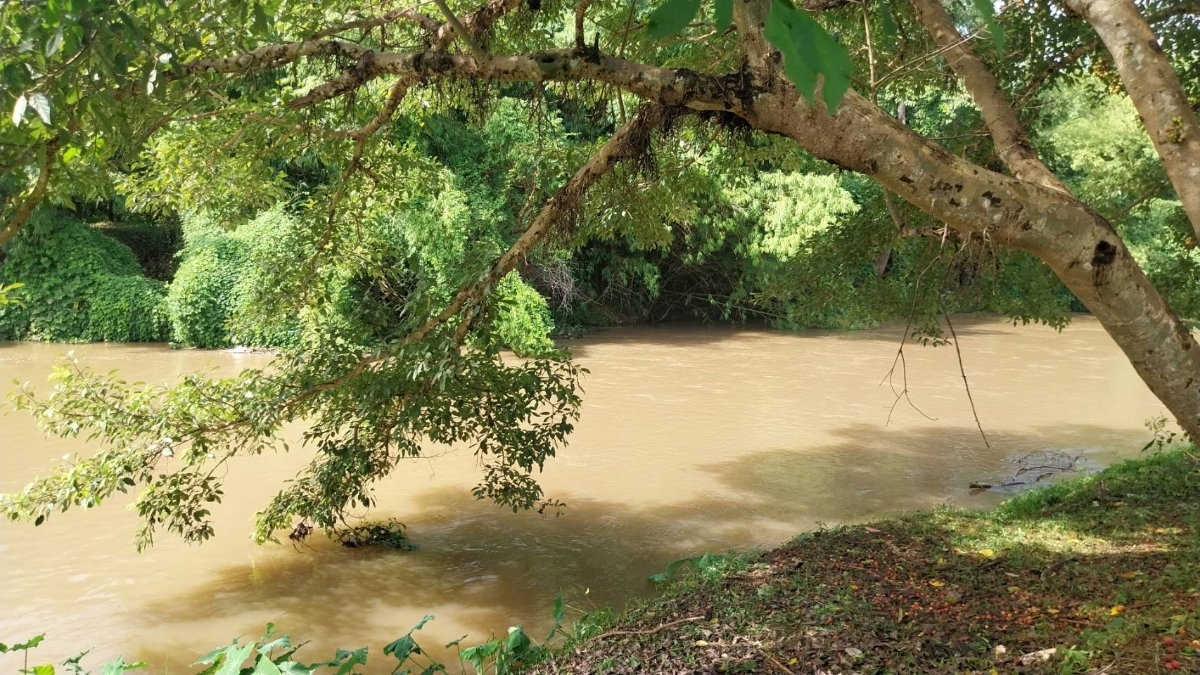 picture Land by the canal in nakhon Nayok - 8/14