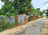 listing thumbnail image 15