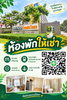 listing thumbnail image 10
