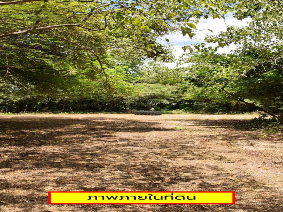 รูป จับโอกาสก่อนราคาขยับ! จากที่ดิน 9 ไร่ สู่ Destination แห่งใหม่ของกาญจนบุรี ขายที่ดินถมแล้วเสมอถนน 9 ไร่ติดภูเขา ใกล้แม่น้ำ | #TPI-3486 - รูปที่ 16/19