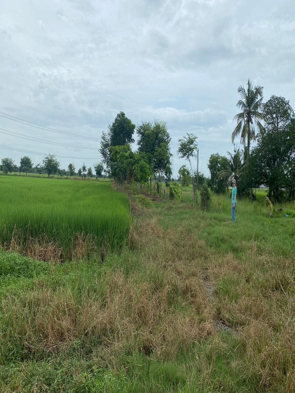 รูป ขายที่ดินหนองจอก ถนนมิตรไมตรี6 ที่สวยติดถนนลาดยาง มีสะพานข้ามคลอง - รูปที่ 1/6