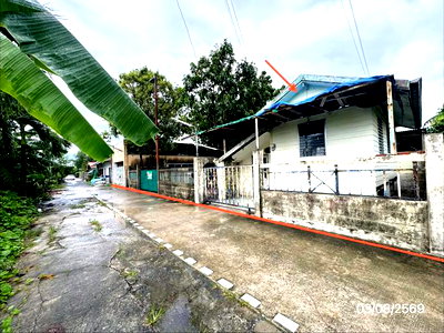 ขายบ้านเดี่ยว : บ้านเดี่ยว 365 ตร.วา นครชัยศรี นครปฐม 2.6M
