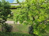 listing thumbnail image 15