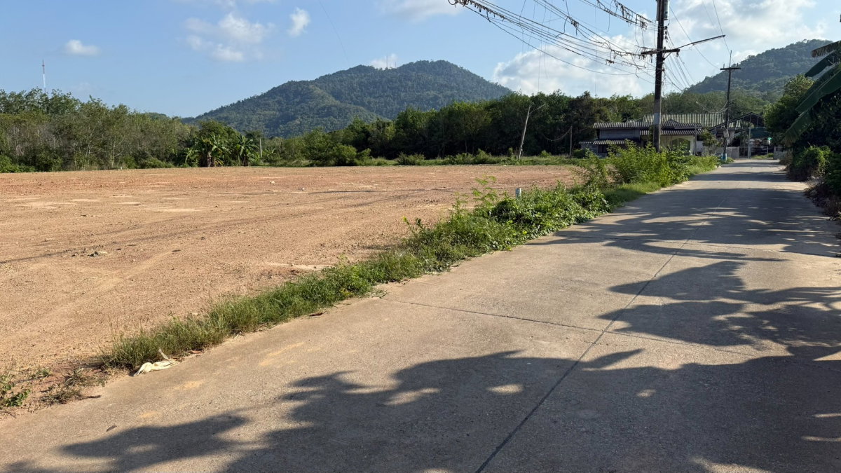 รูป  ขายที่ดินถมแล้ว 300 ตารางวา ใกล้สุขุมวิท 250 เมตร ไฟฟ้าและประปาพร้อม เพ ระยอง - รูปที่ 21/25