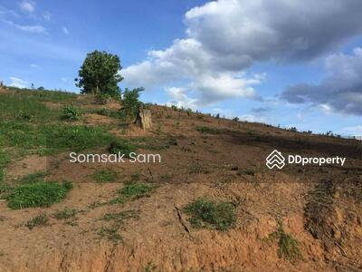 รูป ขายที่ดินเปล่าต.เวียงเหนือ อ.ปาย จ.แม่ฮ่องสอน เนื้อที่ 16 ไร่ - รูปที่ 3/4