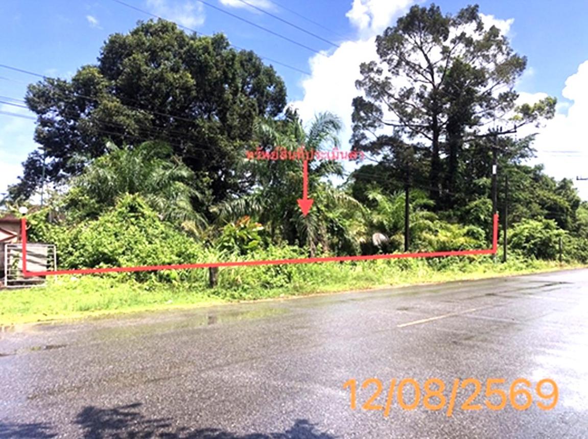 picture LAND 1601 Sq.w. Takua Pa Phangnga for 3.2M - 10/19