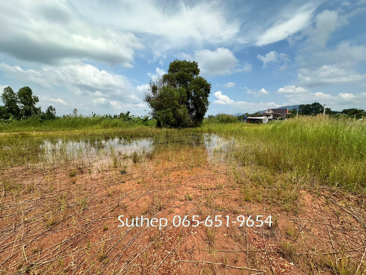 รูป ขายที่ดินถมแล้ว 1-3-38 ไร่ ใกล้หาดแม่รำพึง 1 กม. ไฟฟ้า ประปาพร้อม ตะพง ระยอง - รูปที่ 13/15