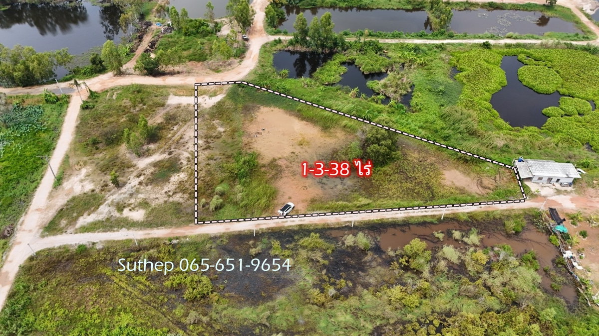 รูป ขายที่ดินถมแล้ว 1-3-38 ไร่ ใกล้หาดแม่รำพึง 1 กม. ไฟฟ้า ประปาพร้อม ตะพง ระยอง - รูปที่ 4/15