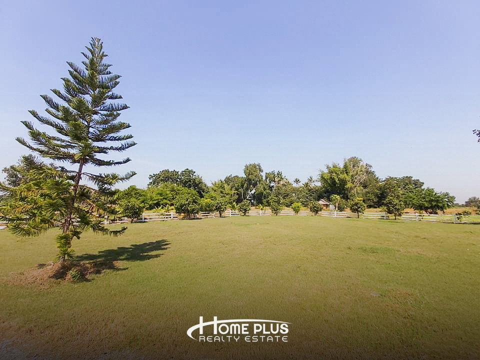 รูป 🏡 ขายบ้านพร้อมที่ดิน 14 ไร่ – ตำบลอู่ตะเภา อำเภอมโนรมย์ จังหวัดชัยนาท - รูปที่ 13/18