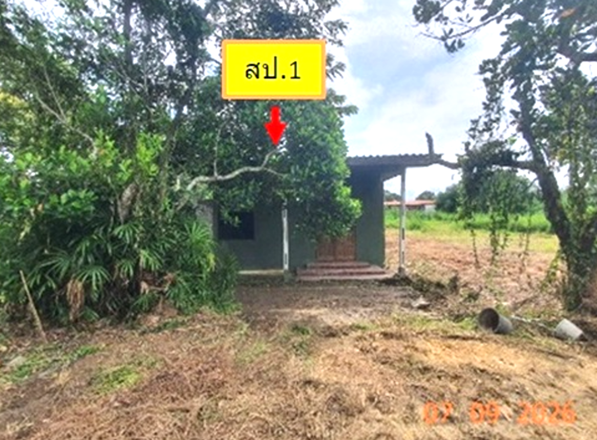 รูป บ้านเดี่ยว 2942 ตร.วา งาว ลำปาง 14.5M - รูปที่ 15/25