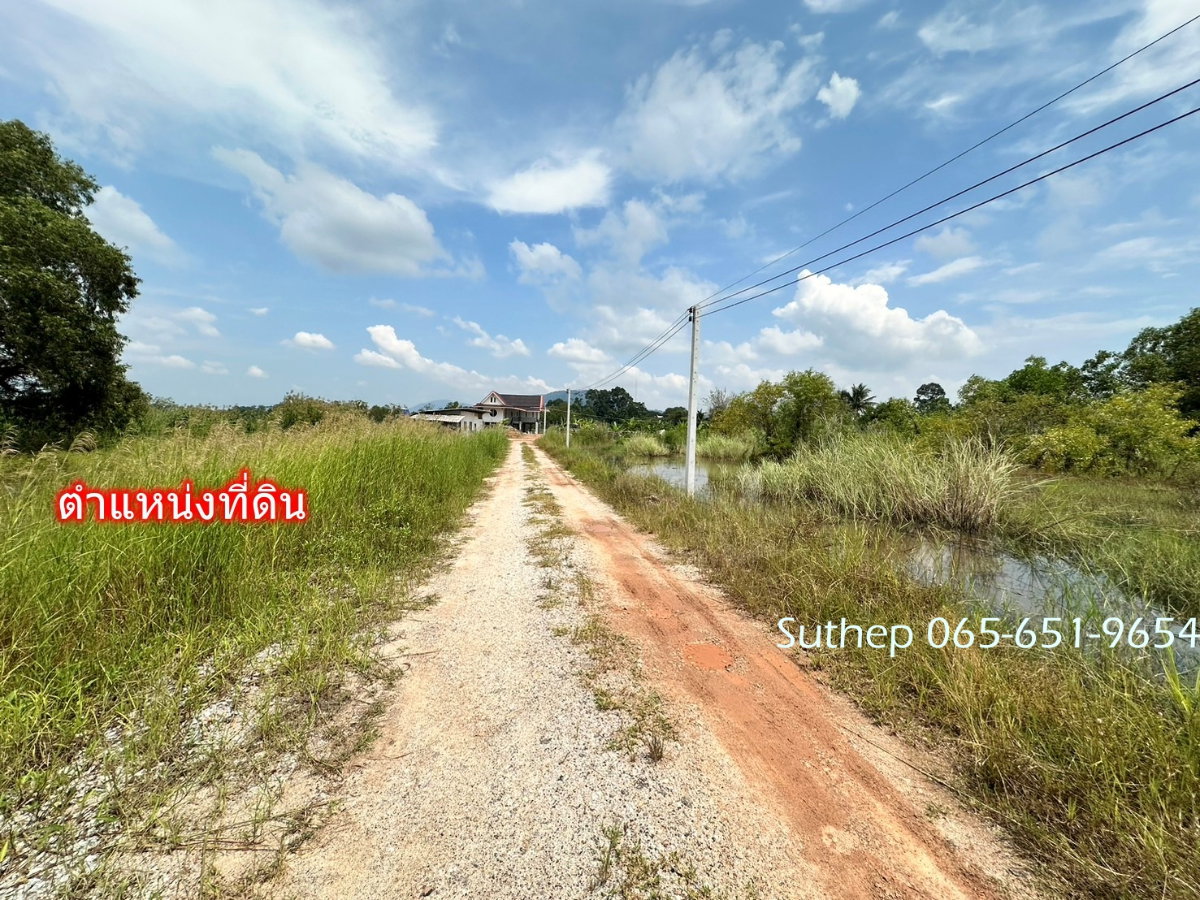 รูป ขายที่ดินถมแล้ว 1-3-38 ไร่ ใกล้หาดแม่รำพึง 1 กม. ไฟฟ้า ประปาพร้อม ตะพง ระยอง - รูปที่ 10/15