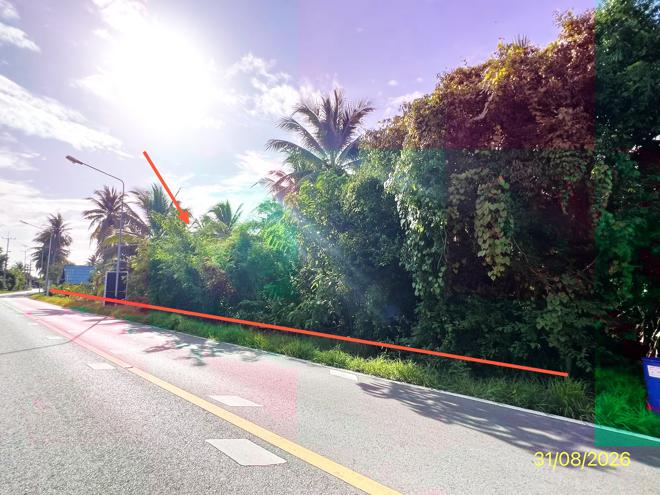 รูป บ้านเดี่ยว 5718 ตร.วา อัมพวา สมุทรสงคราม 63.1M - รูปที่ 11/25
