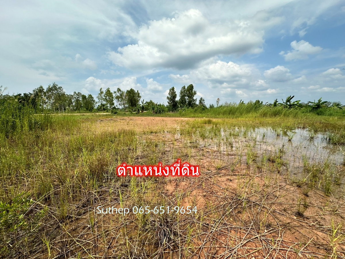 รูป ขายที่ดินถมแล้ว 1-3-38 ไร่ ใกล้หาดแม่รำพึง 1 กม. ไฟฟ้า ประปาพร้อม ตะพง ระยอง - รูปที่ 11/15