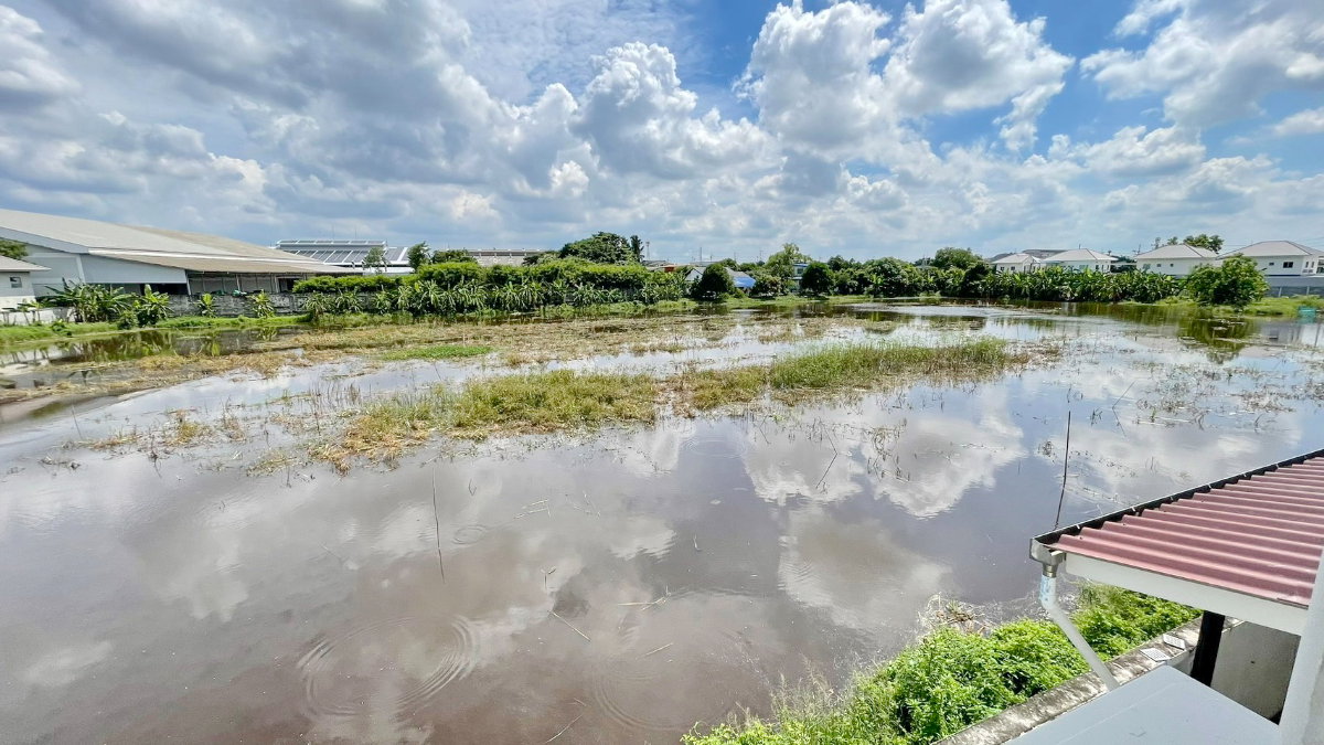 รูป ให้เช่าบ้านเดี่ยว  พุทธมณฑลสาย พุทธมณฑลสาย 4 ( ไม่มีเฟอร์ ฯ ) - รูปที่ 14/15