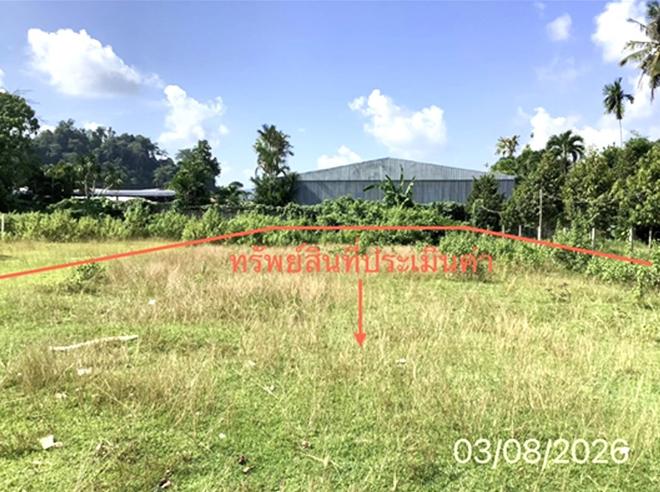 รูป ที่ดินว่างเปล่า 157.2 ตร.วา ทุ่งสง นครศรีธรรมราช 1.9M - รูปที่ 4/19