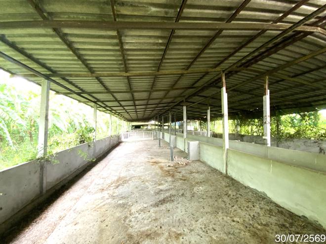 picture LAND 3345 Sq.w. Tha Wung Lopburi for 9.3M - 5/45